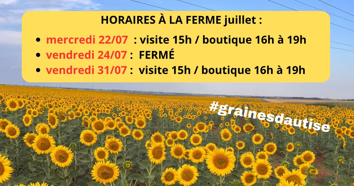 Graines d'Autise